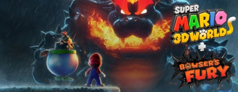 Banner Super Mario 3D World Plus Bowsers Fury