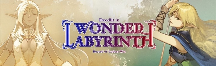 Banner Record of Lodoss War Deedlit in Wonder Labyrinth