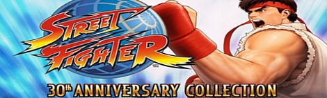 Banner Street Fighter 30th Anniversary Collection