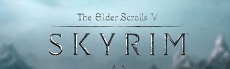 Banner The Elder Scrolls V Skyrim