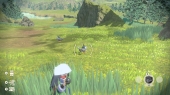 Verstop je in het hoge gras, besluip de Pokémon ongezien en gooi de Pokéball!