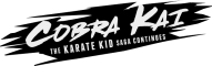 Afbeelding voor  Cobra Kai The Karate Kid Saga Continues