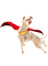 Afbeelding voor  DC League of Super-Pets The Adventures of Krypto and Ace
