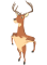 Afbeelding voor  DEEEER Simulator Your Average Everyday Deer Game