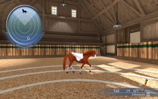 De paarden moeten ook trainen zodat ze wel mee kunnen doen aan paardenraces!
