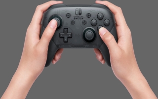 De standaard zwarte Nintendo Switch Pro Controller is lichtjes doorschijnend.