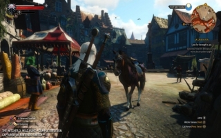 Voltooi opdrachten en versla vijanden om Geralt sterker te maken in deze actie-RPG.